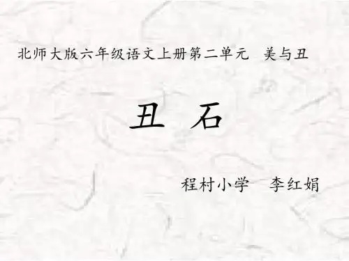 《丑石》课件