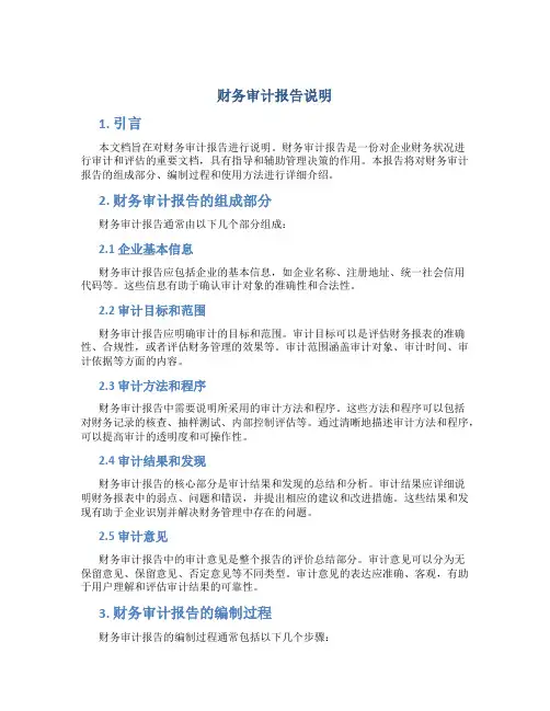 财务审计报告说明