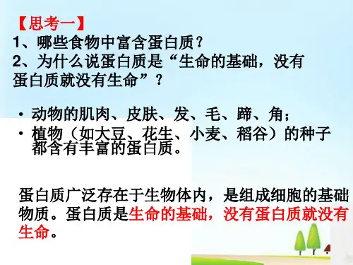 人教版化学选修一1.3《生命的基础—蛋白质》上课课件