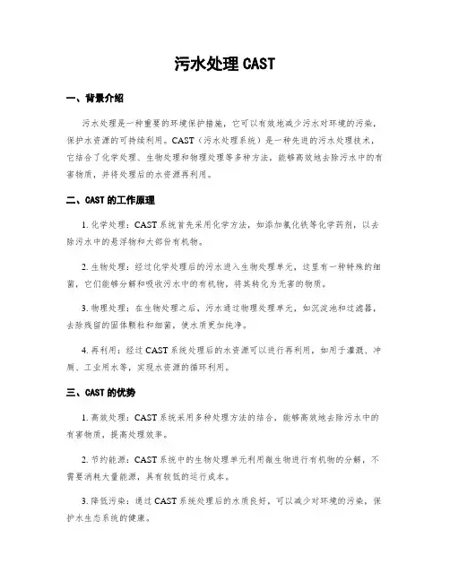污水处理CAST