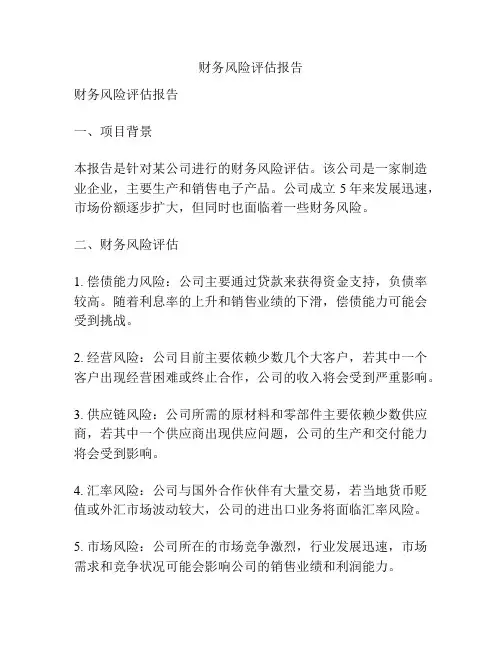 财务风险评估报告