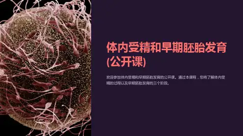 体内受精和早期胚胎发育(公开课)