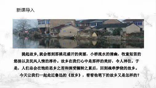 部编版语文九年级上册15 故乡 课件(共38张PPT)