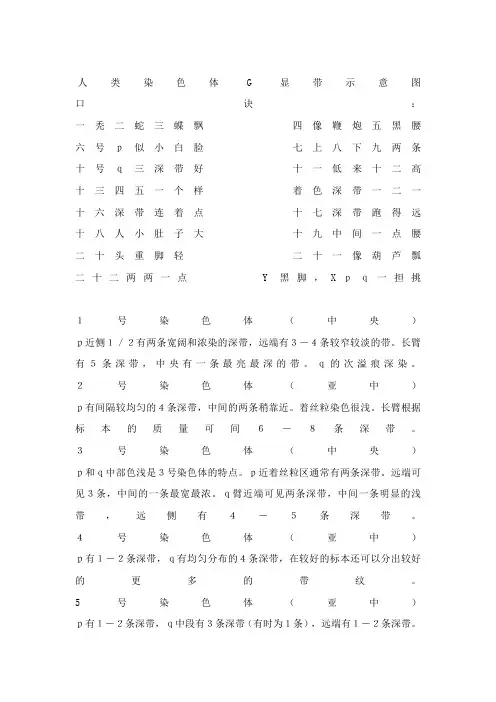 人类染色体G显带示意图口诀