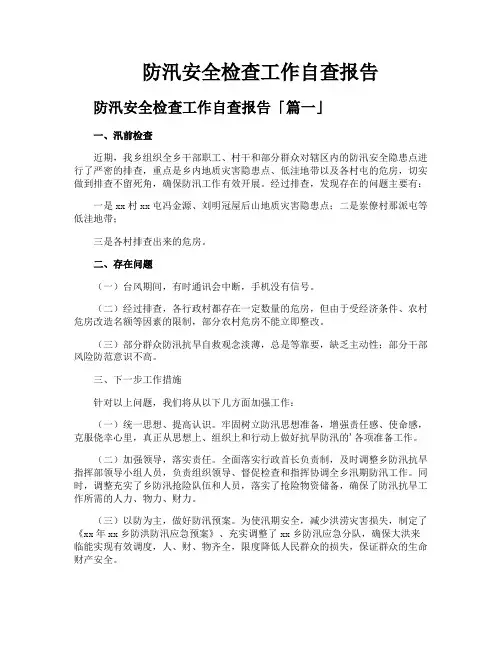 防汛安全检查工作自查报告
