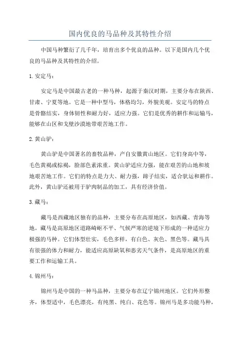 国内优良的马品种及其特性介绍