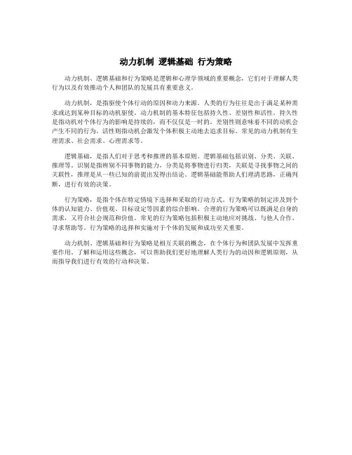 动力机制 逻辑基础 行为策略