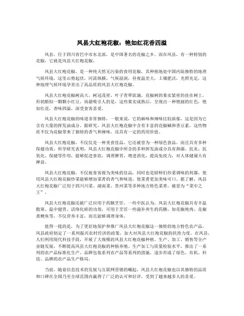 凤县大红袍花椒：艳如红花香四溢