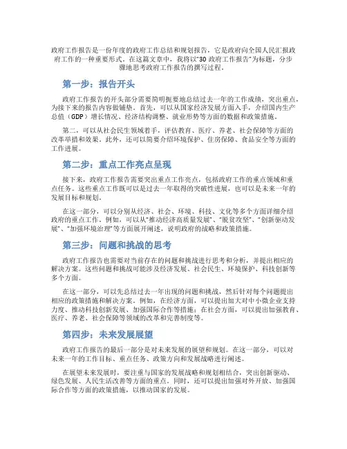 30 政府工作报告