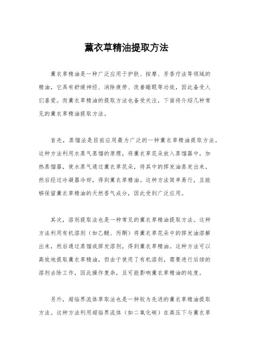 薰衣草精油提取方法