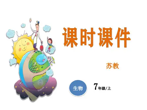 苏教版七年级上册生物教学课件 植物生长需要水和无机盐