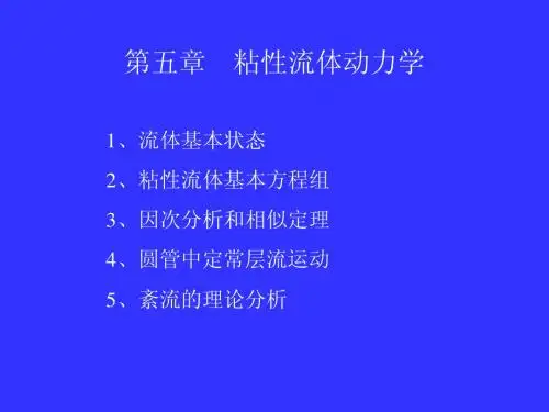 流体力学 第五章  讲稿