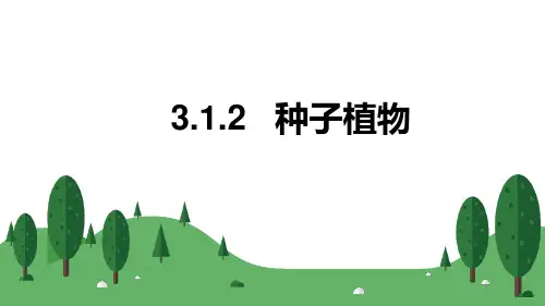 第二节种子植物课件人教版生物七年级上册