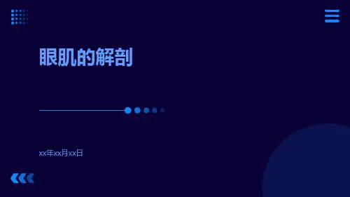 (医学课件)眼肌的解剖