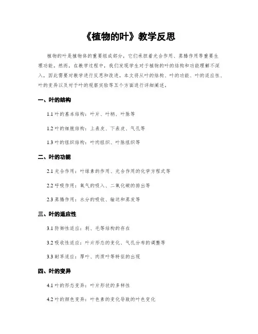 《植物的叶》教学反思