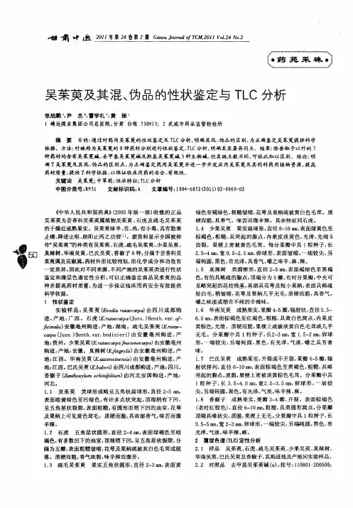 吴茱萸及其混、伪品的性状鉴定与TLC分析