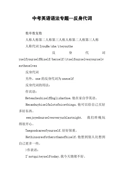 中考英语语法专题—反身代词