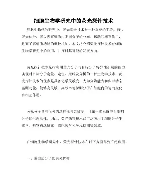 细胞生物学研究中的荧光探针技术
