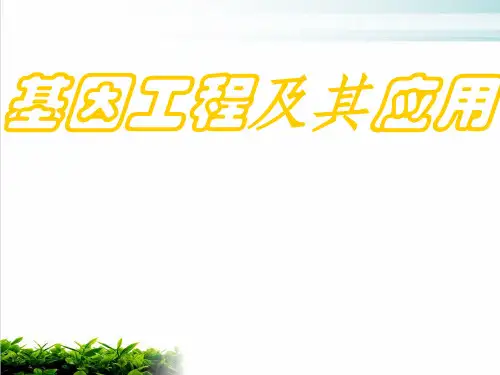 【新教材】人教版高中生物基因工程及其应用PPT名师课件1