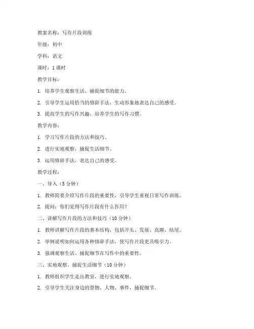 写作片段训练初中教案