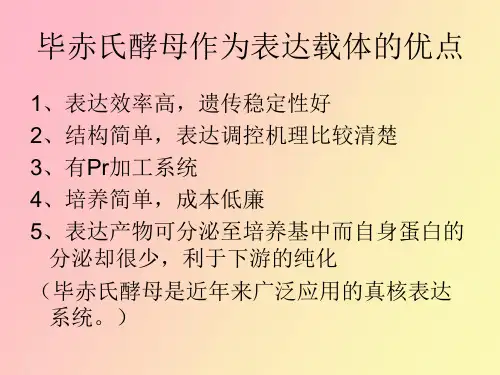 毕赤酵母的基因表达及其初步纯化