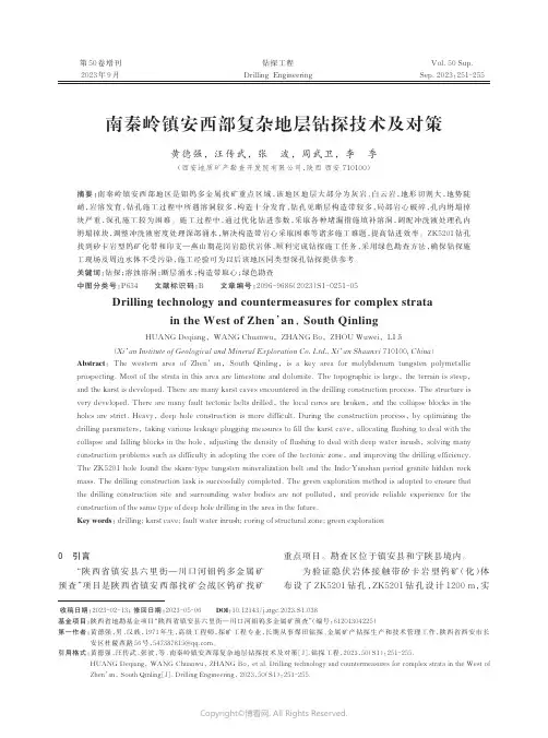 南秦岭镇安西部复杂地层钻探技术及对策