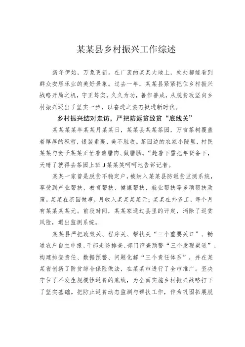 某某县乡村振兴工作综述