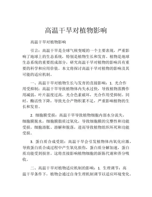 高温干旱对植物影响