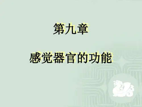 感觉器官的功能