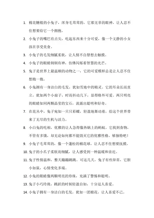 描写小兔的优美句子