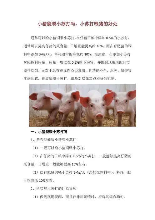 小猪能喂小苏打吗,小苏打喂猪的好处