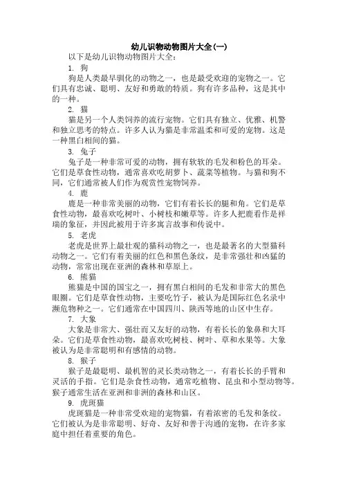 幼儿识物动物图片大全(一)