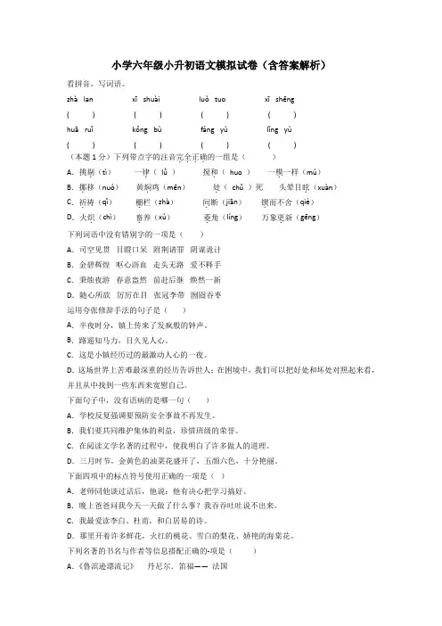 小学六年级小升初语文模拟试卷(含答案解析)
