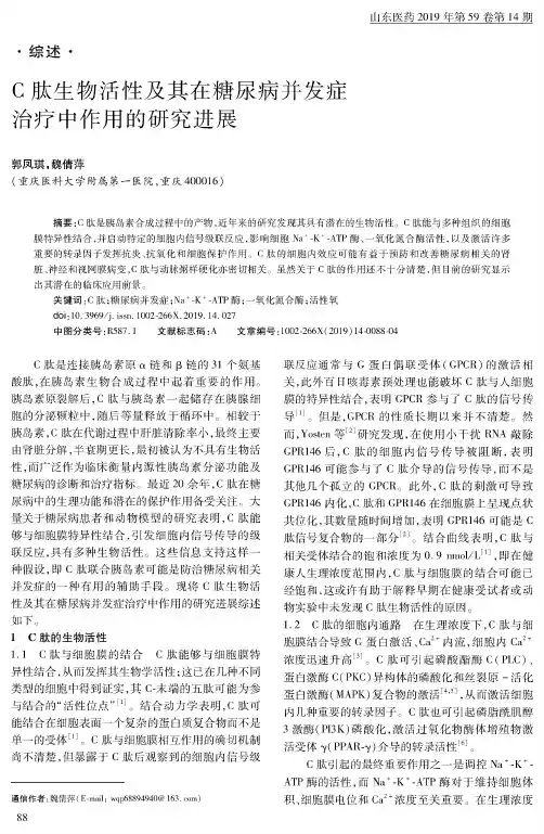 C肽生物活性及其在糖尿病并发症治疗中作用的研究进展