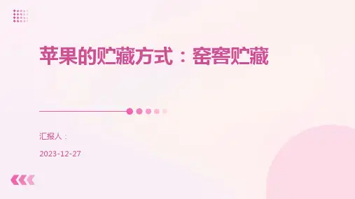 苹果的贮藏方式：窑窖贮藏