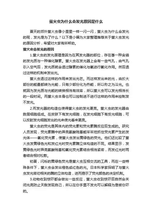 萤火虫为什么会发光原因是什么