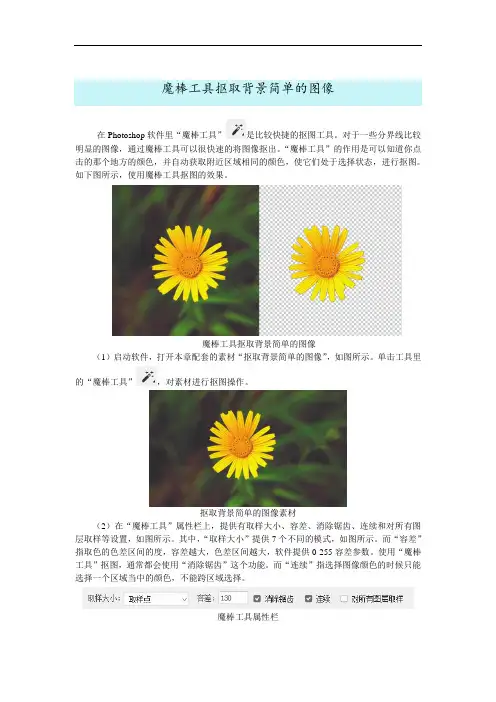 Adobe Photoshop CC 2021抠图教程 pscc2023魔棒工具抠取背景简单的图像