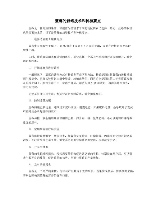 蓝莓的栽培技术和种植要点