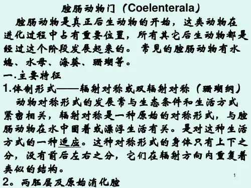 动物学2腔肠动物门Coelenterala-PPT课件