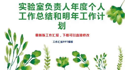 实验室负责人年度个人工作总结和明年工作计划PPT模板下载