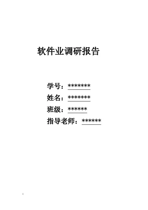 软件业调研报告