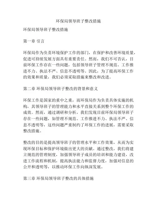 环保局领导班子整改措施