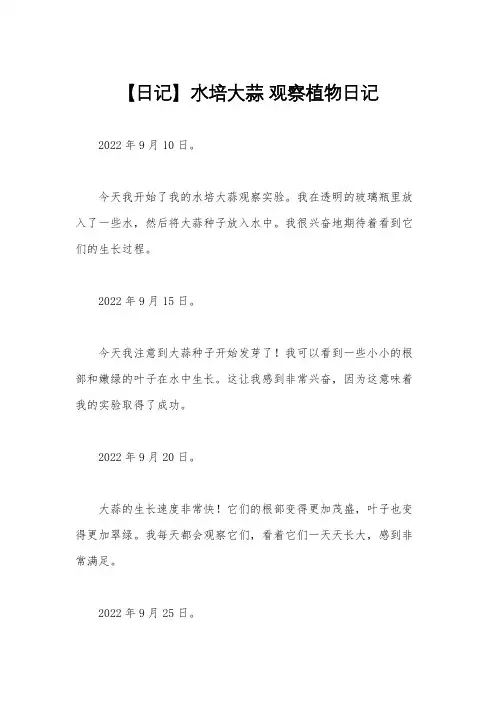 【日记】水培大蒜 观察植物日记