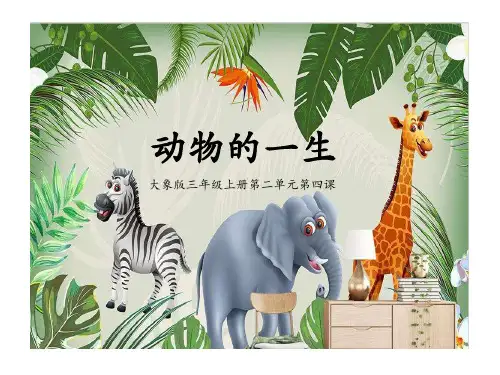 大象版三年级上册科学《动物的一生》(课件)