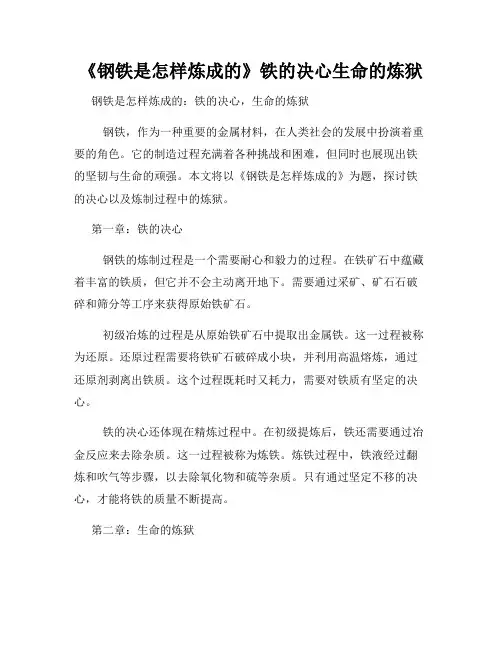 《钢铁是怎样炼成的》铁的决心生命的炼狱