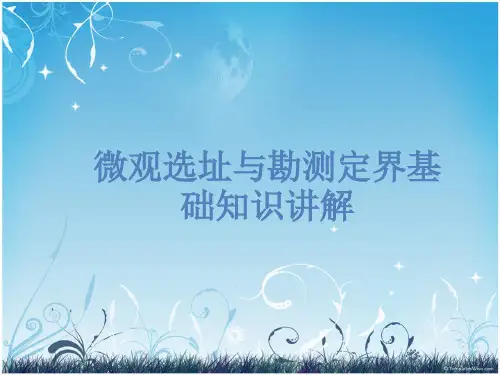 微观选址与勘测定界基础知识讲解