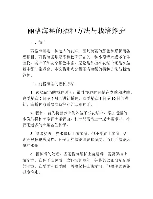 丽格海棠的播种方法与栽培养护