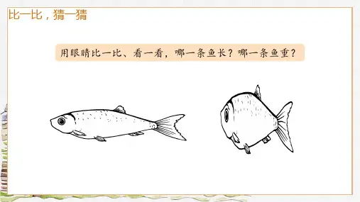 4 曹冲称象 (课件)(共32张PPT).ppt