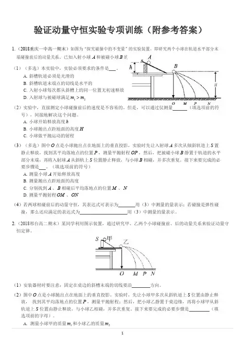 验证动量守恒实验专项训练(附参考答案)