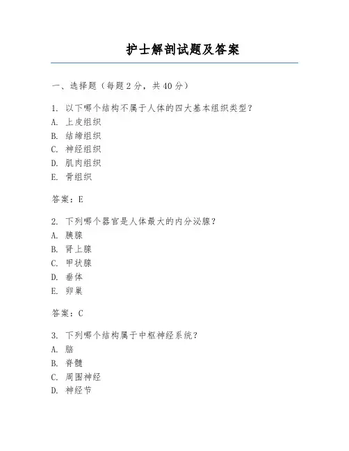 护士解剖试题及答案